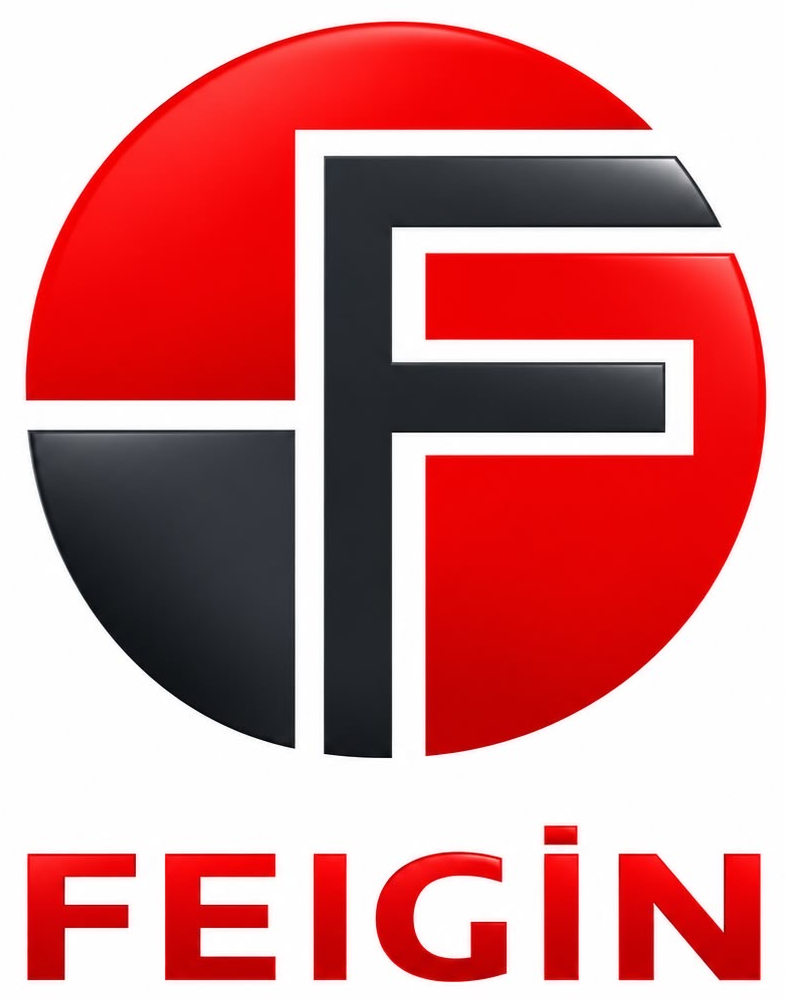 FEIGIN